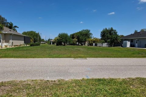 Land in Punta Gorda, Florida № 2231346 - photo 5