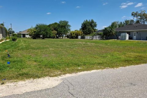 Land in Punta Gorda, Florida № 2231346 - photo 6