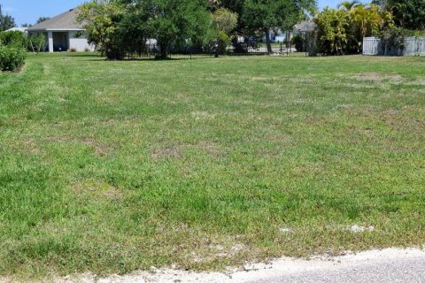 Land in Punta Gorda, Florida № 2231346 - photo 8