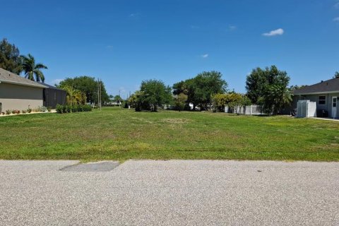 Land in Punta Gorda, Florida № 2231346 - photo 3