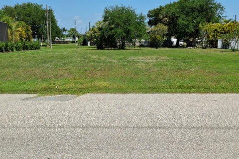 Land in Punta Gorda, Florida № 2231346 - photo 2