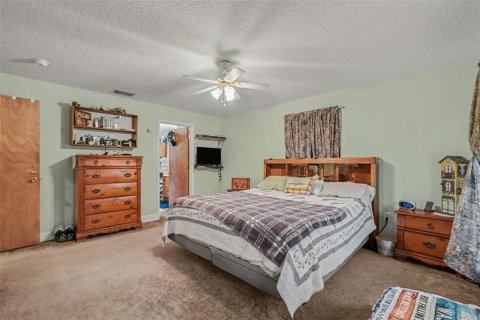 Villa ou maison à vendre à Webster, Floride: 3 chambres, 162.02 m2 № 2306273 - photo 14