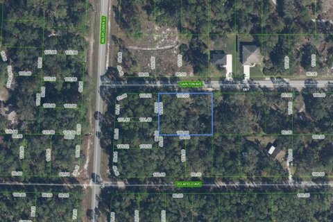Land in Lake Placid, Florida № 2214408
