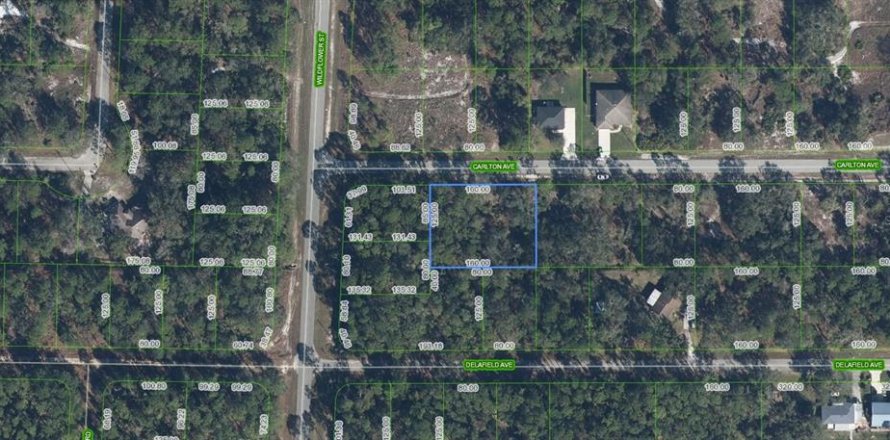 Land in Lake Placid, Florida № 2214408