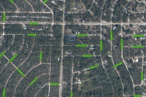 Land in Lake Placid, Florida № 2214408 - photo 2