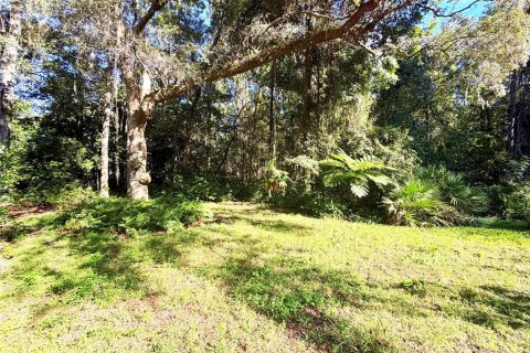 House in Gainesville, Florida 4 bedrooms, 301.19 sq.m. № 2419359 - photo 25