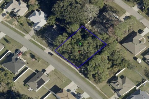 Land in Palm Coast, Florida № 2367122