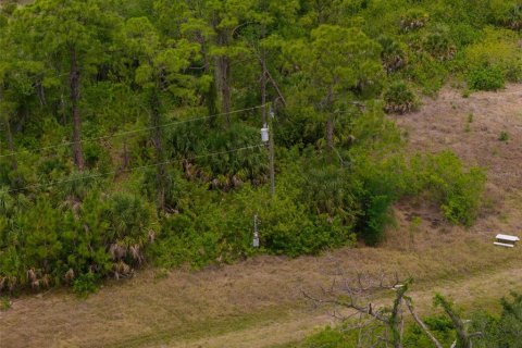 Land in Venice, Florida № 2213273 - photo 11