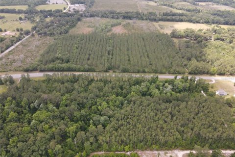 Land in Alachua, Florida № 498219 - photo 13