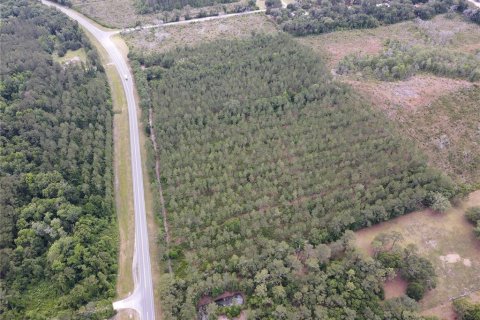 Land in Alachua, Florida № 498219 - photo 9