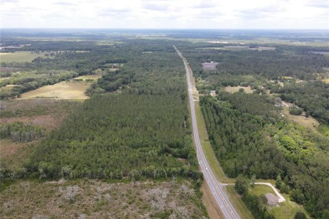 Land in Alachua, Florida № 498219 - photo 16
