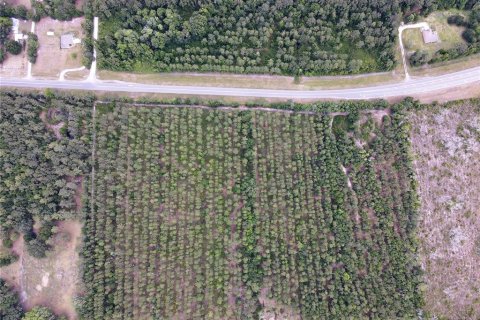 Land in Alachua, Florida № 498219 - photo 19