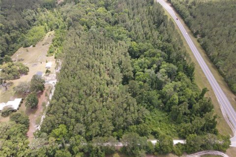 Land in Alachua, Florida № 498219 - photo 23