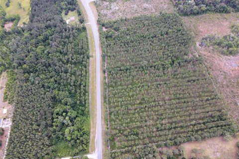 Land in Alachua, Florida № 498219 - photo 20