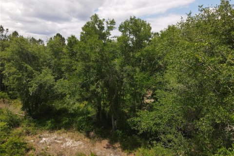 Land in Alachua, Florida № 498219 - photo 12