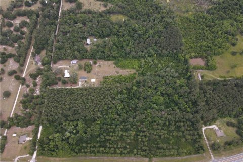 Land in Alachua, Florida № 498219 - photo 7
