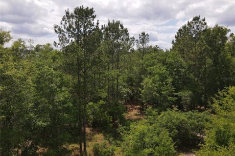 Land in Alachua, Florida № 498219 - photo 10