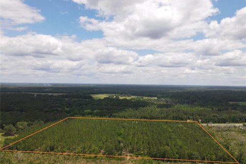 Land in Alachua, Florida № 498219 - photo 6