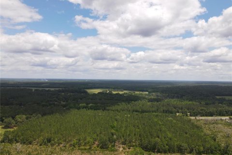 Land in Alachua, Florida № 498219 - photo 1