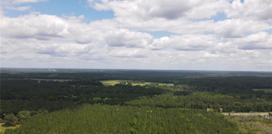 Terrain à Alachua, Floride № 498219