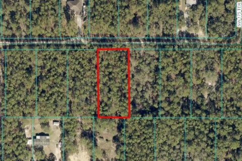 Land in Dunnellon, Florida № 2160293