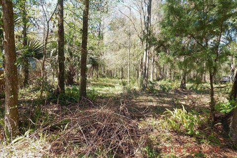 Land in Orlando, Florida № 2108891 - photo 3
