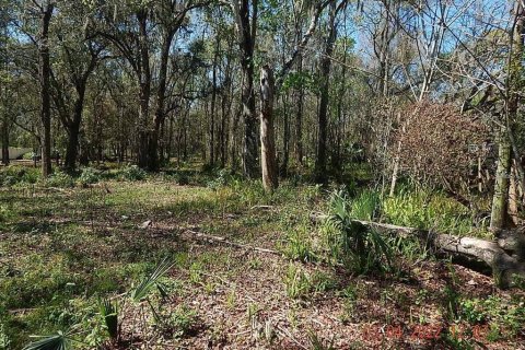 Land in Orlando, Florida № 2108891 - photo 7