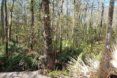 Land in Orlando, Florida № 2108891 - photo 10