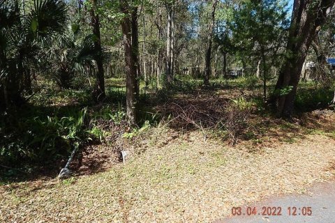 Land in Orlando, Florida № 2108891 - photo 2