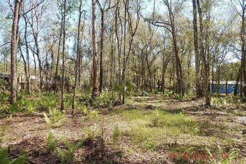 Land in Orlando, Florida № 2108891 - photo 11