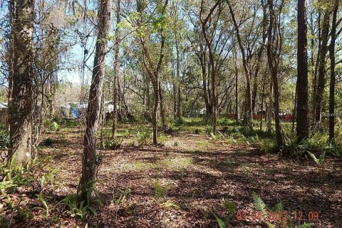 Land in Orlando, Florida № 2108891 - photo 12