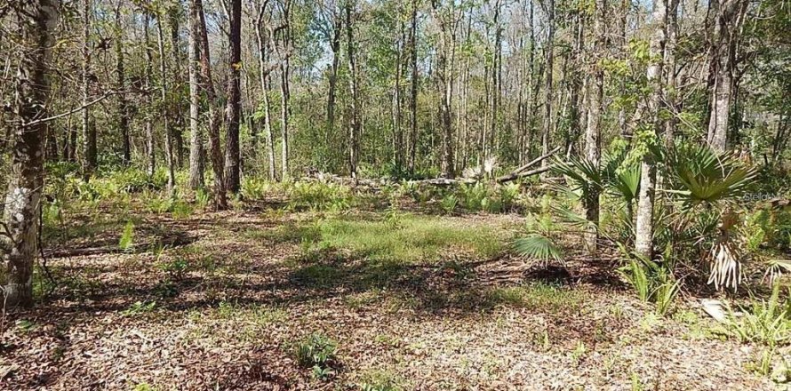 Land in Orlando, Florida № 2108891