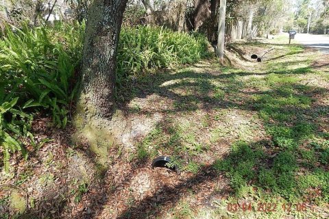 Land in Orlando, Florida № 2108891 - photo 5