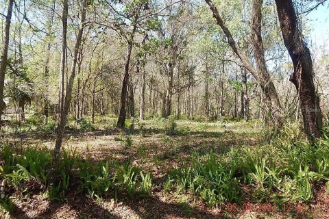 Land in Orlando, Florida № 2108891 - photo 4
