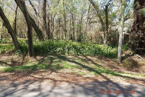 Land in Orlando, Florida № 2108891 - photo 6