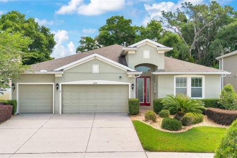 House in Valrico, Florida 4 bedrooms, 219.34 sq.m. № 2201936