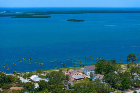 House in Dunedin, Florida 4 bedrooms, 341.6 sq.m. № 1780507 - photo 1