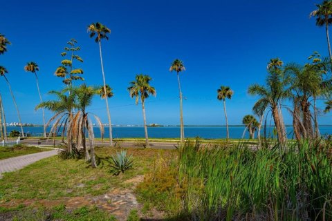 House in Dunedin, Florida 4 bedrooms, 341.6 sq.m. № 1780507 - photo 7