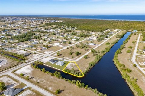 Land in Cape Coral, Florida № 2081614 - photo 7