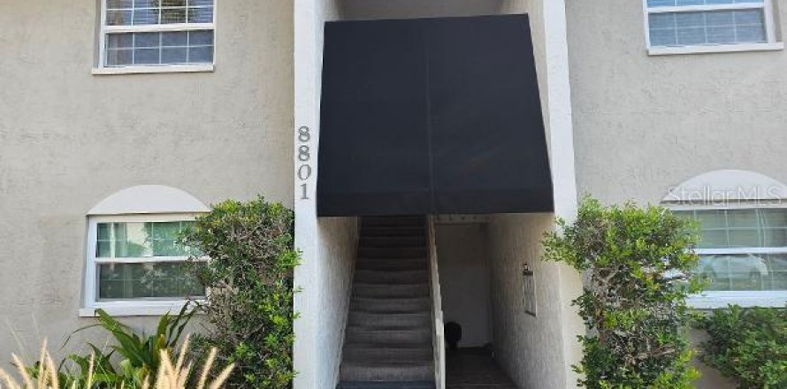 Studio in the Condo in Tampa, Florida № 2267194