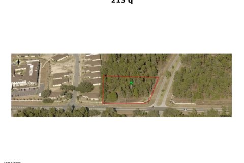 Land in Homosassa, Florida № 909802 - photo 1