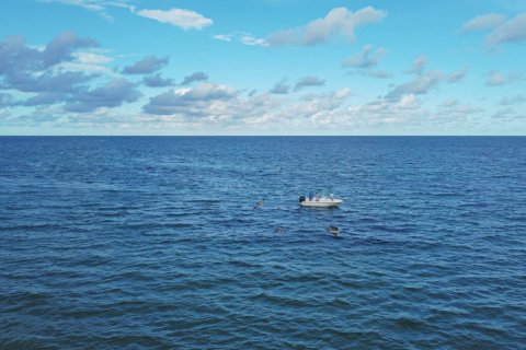 Propiedad comercial en alquiler en Deerfield Beach, Florida, 2 dormitorios, 96.06 m2 № 1225928 - foto 1