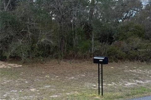 Land in Ocala, Florida № 2228512 - photo 3