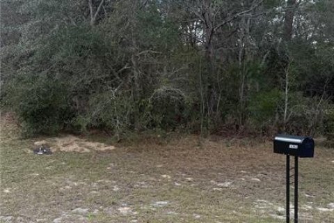 Land in Ocala, Florida № 2228512 - photo 2