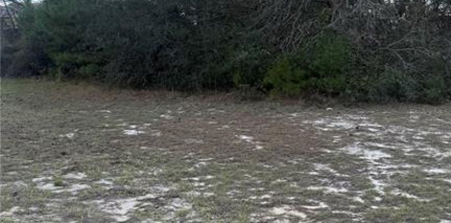 Land in Ocala, Florida № 2228512