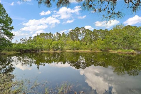 House in Leesburg, Florida 2 bedrooms, 140.93 sq.m. № 1675533 - photo 23