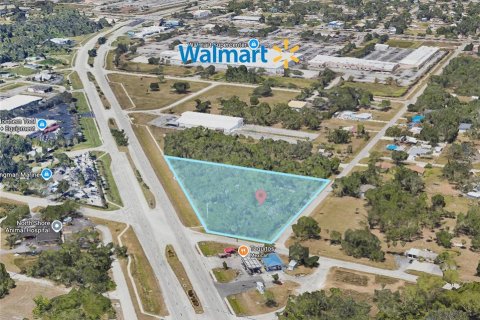 Land in North Fort Myers, Florida № 1908438 - photo 1