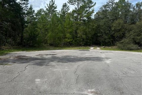 Terrain à vendre à Ocala, Floride № 1901631 - photo 2