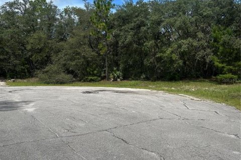 Terrain à vendre à Ocala, Floride № 1901631 - photo 4