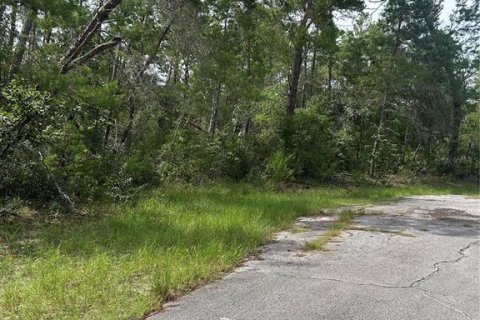 Terrain à vendre à Ocala, Floride № 1901631 - photo 3